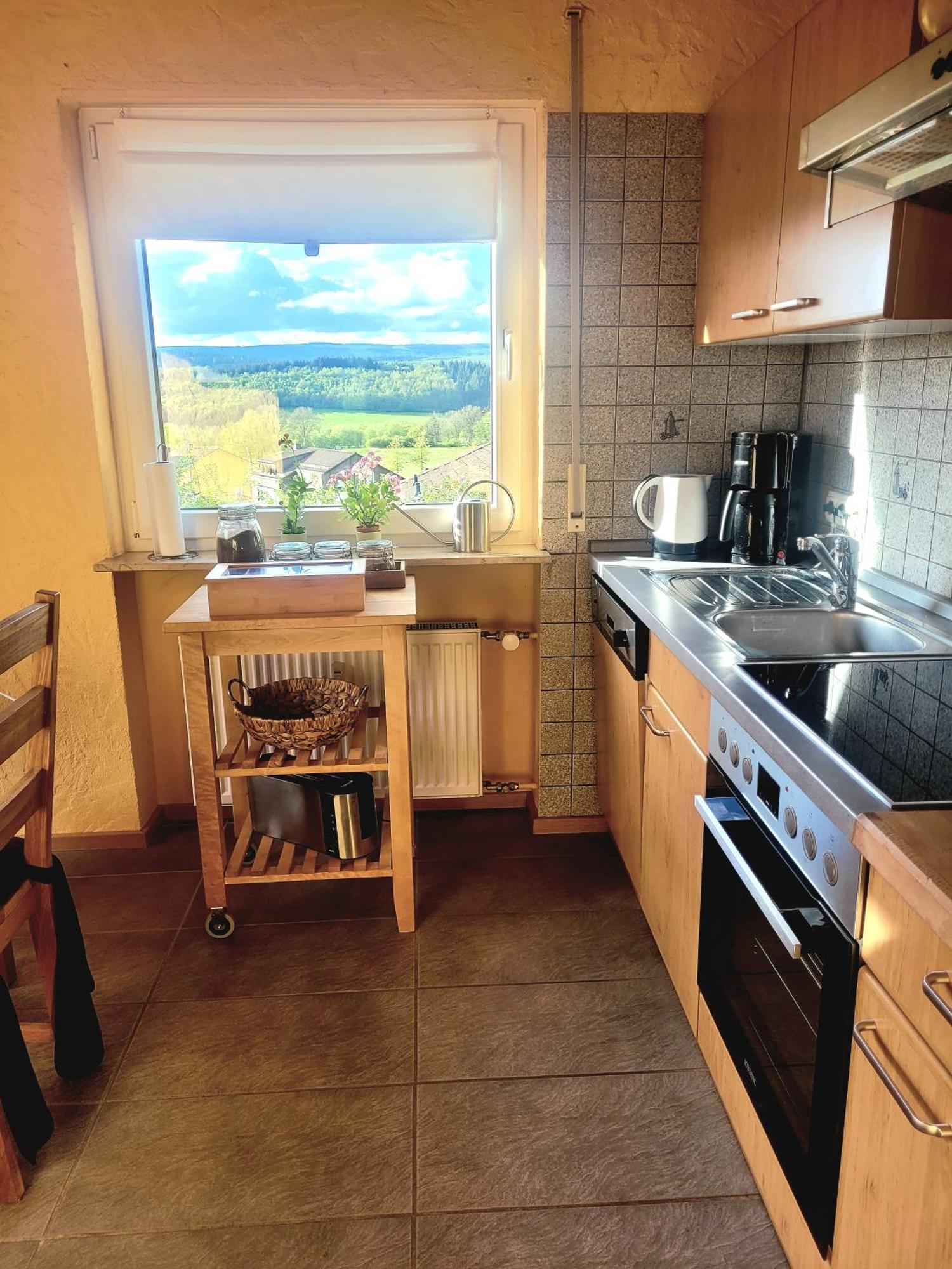 Ferienhaus Wilder Hunsrueck Schmissberg Екстер'єр фото